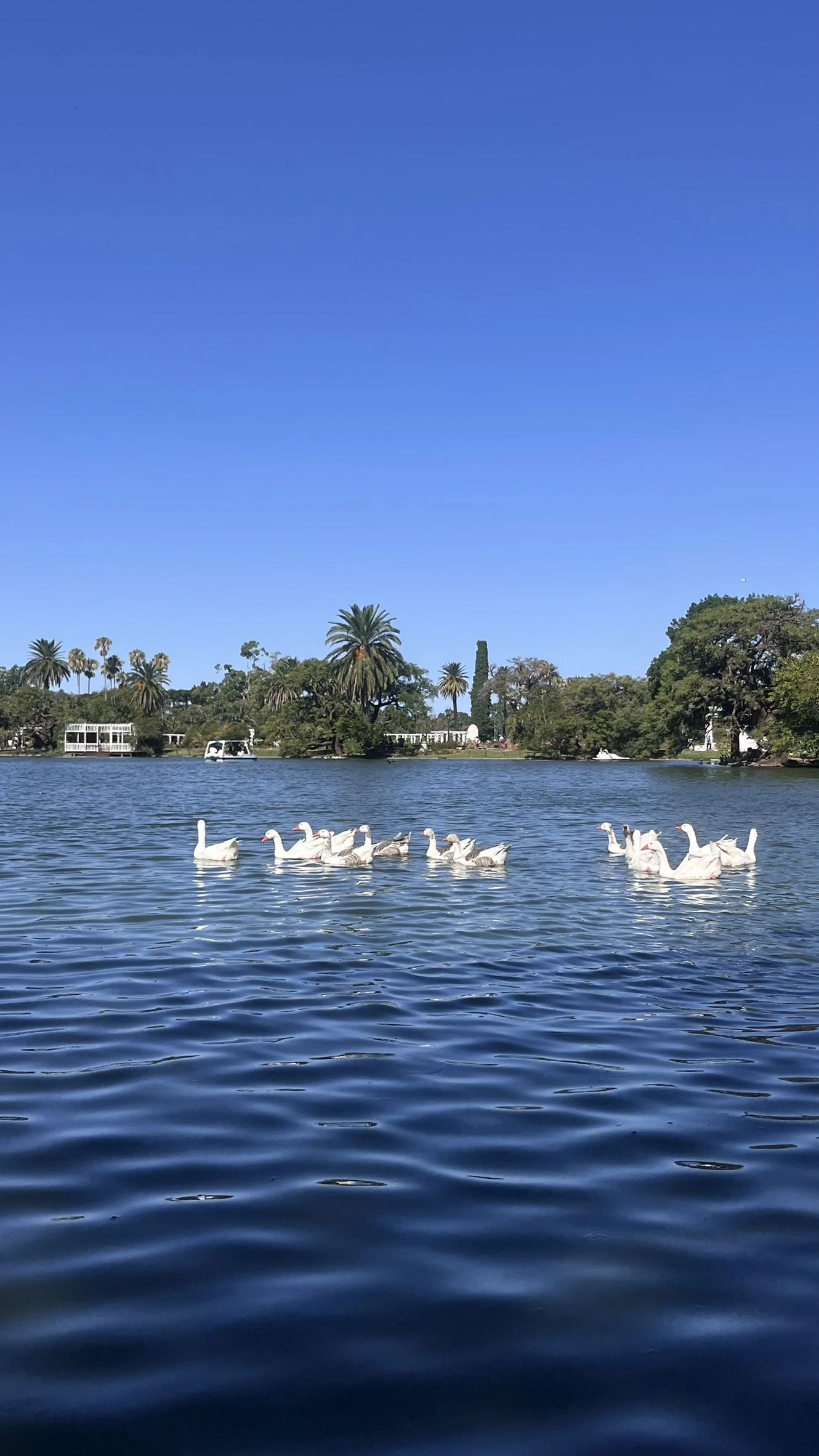 Palermo, em Buenos Aires