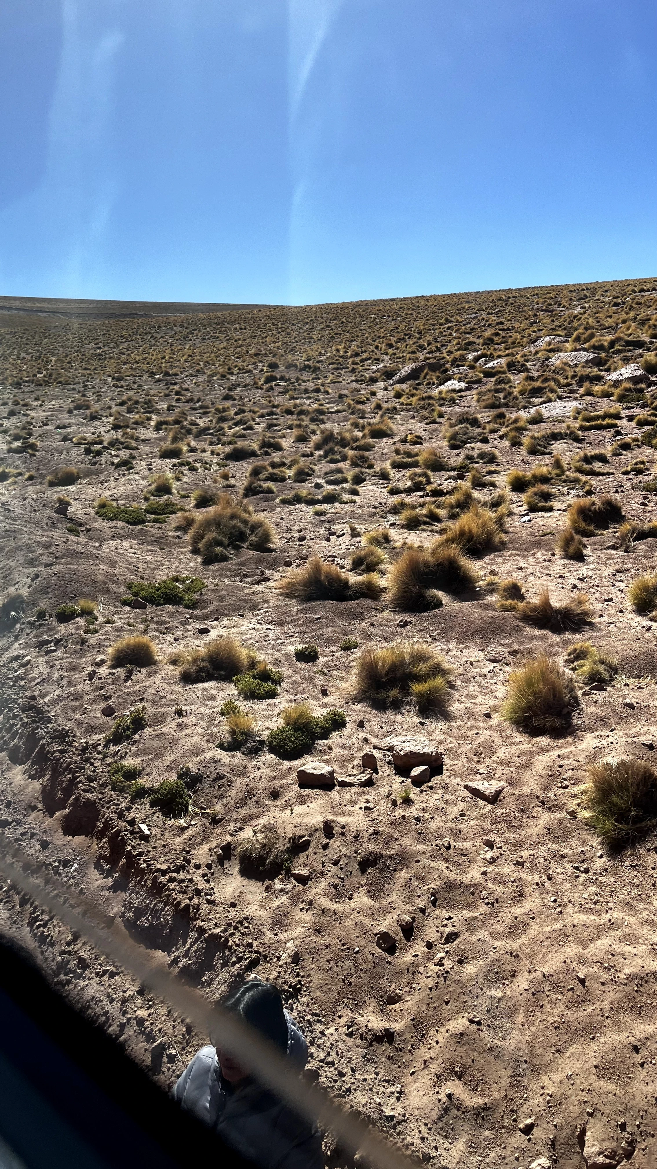 Ônibus Quebrado no Deserto do Atacama