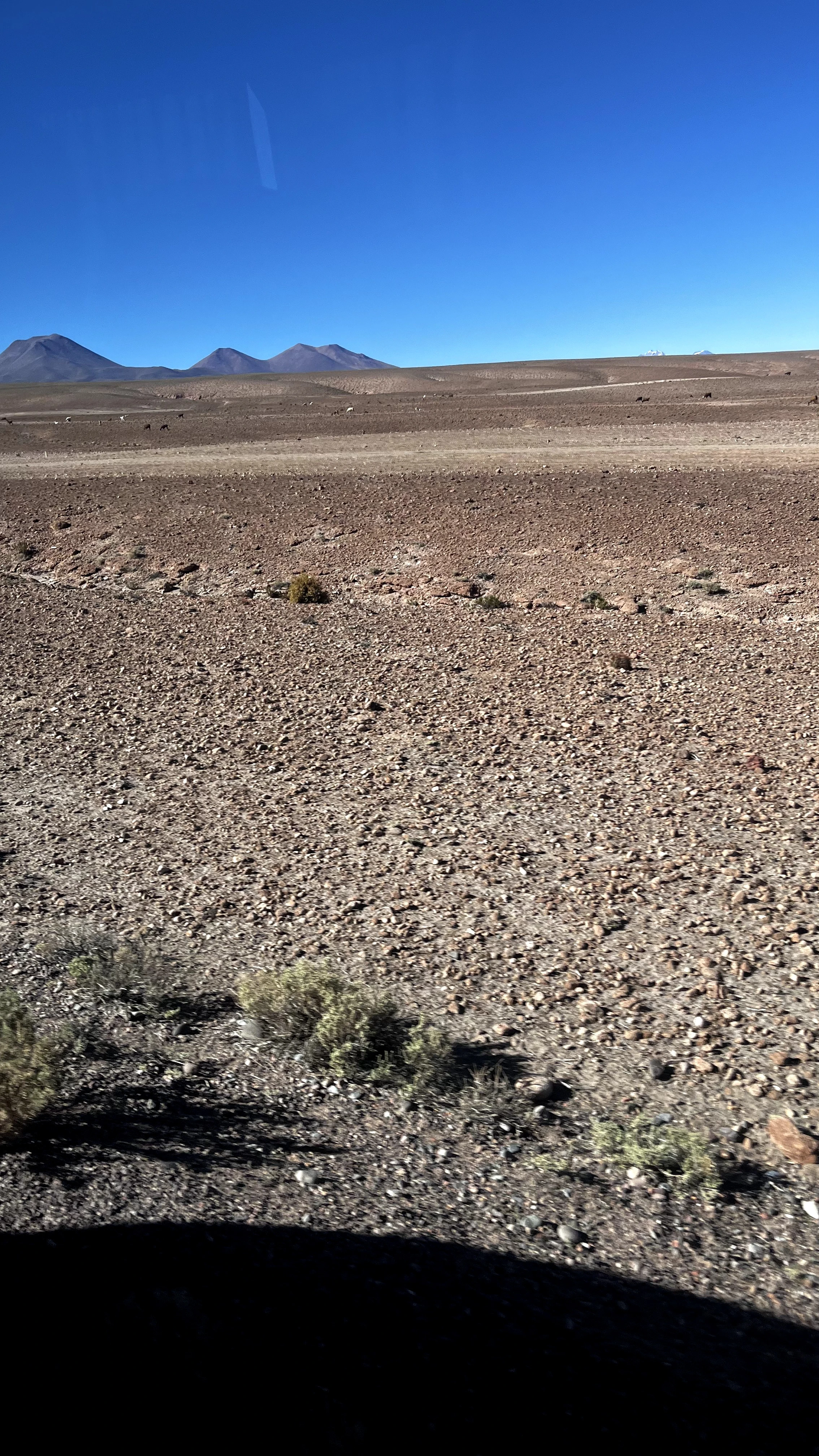 Cruzando de Ônibus o Deserto do Atacama