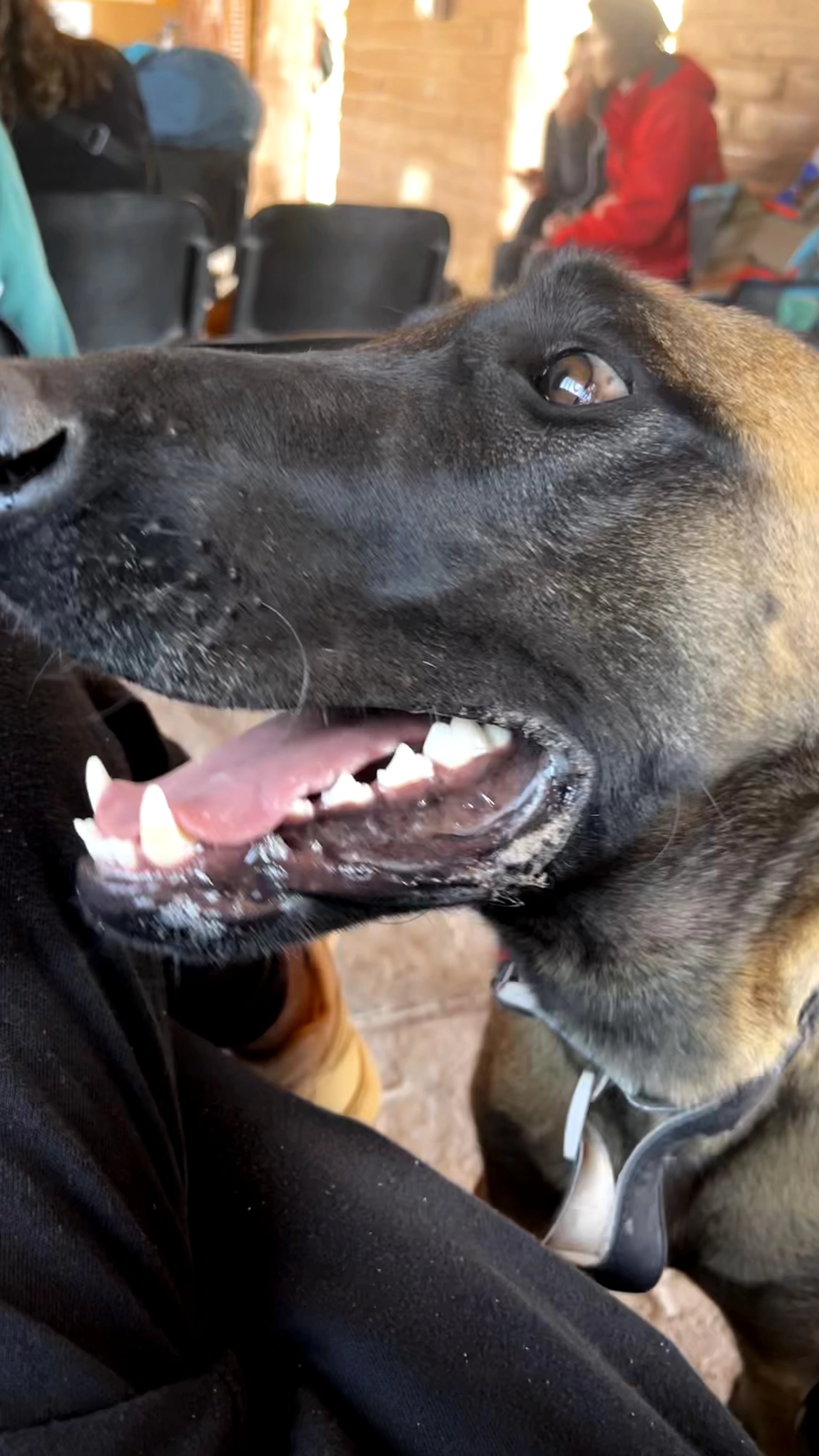 Esperando o Ônibus no Deserto do Atacama