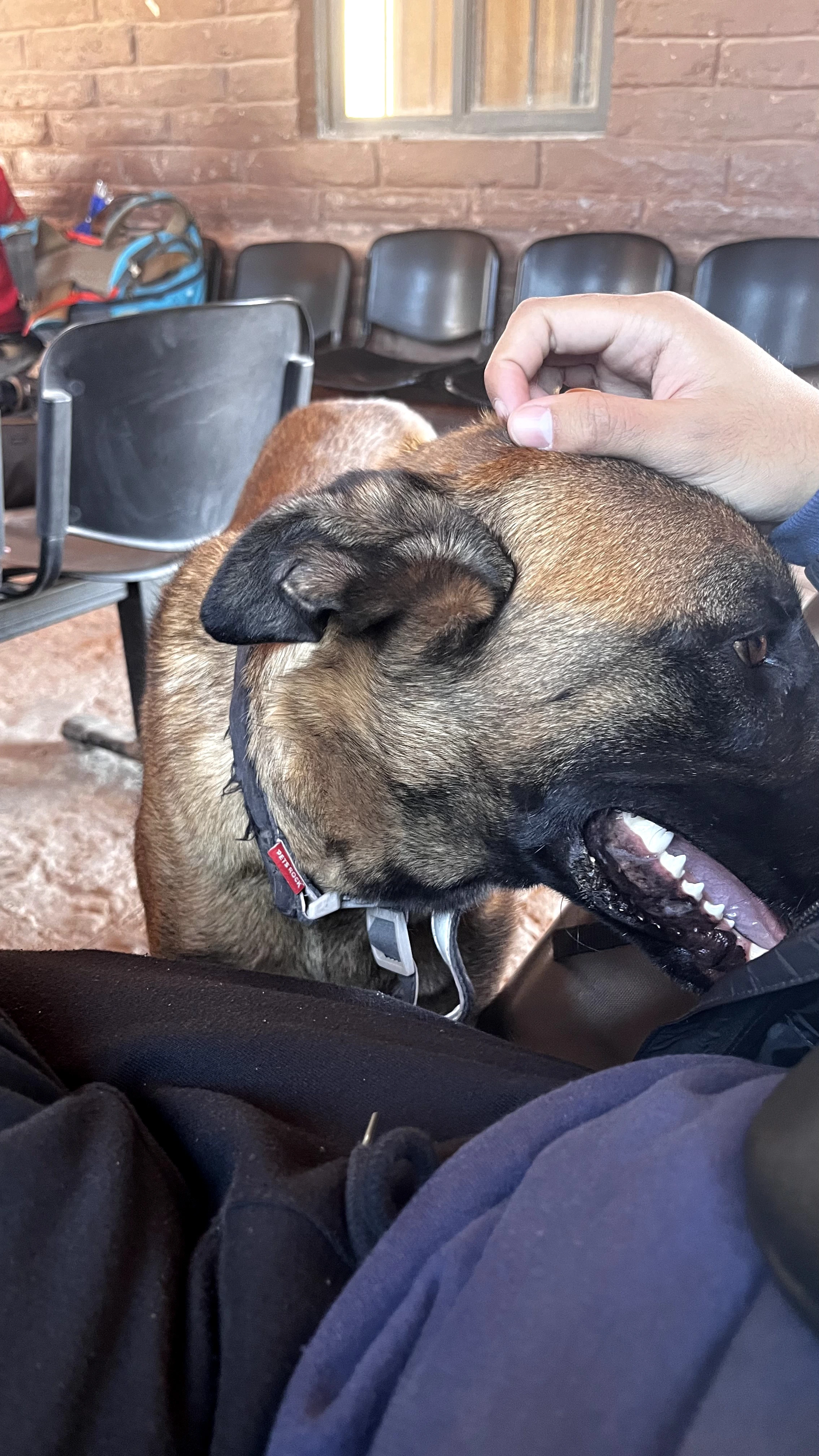 Esperando o Ônibus no Deserto do Atacama