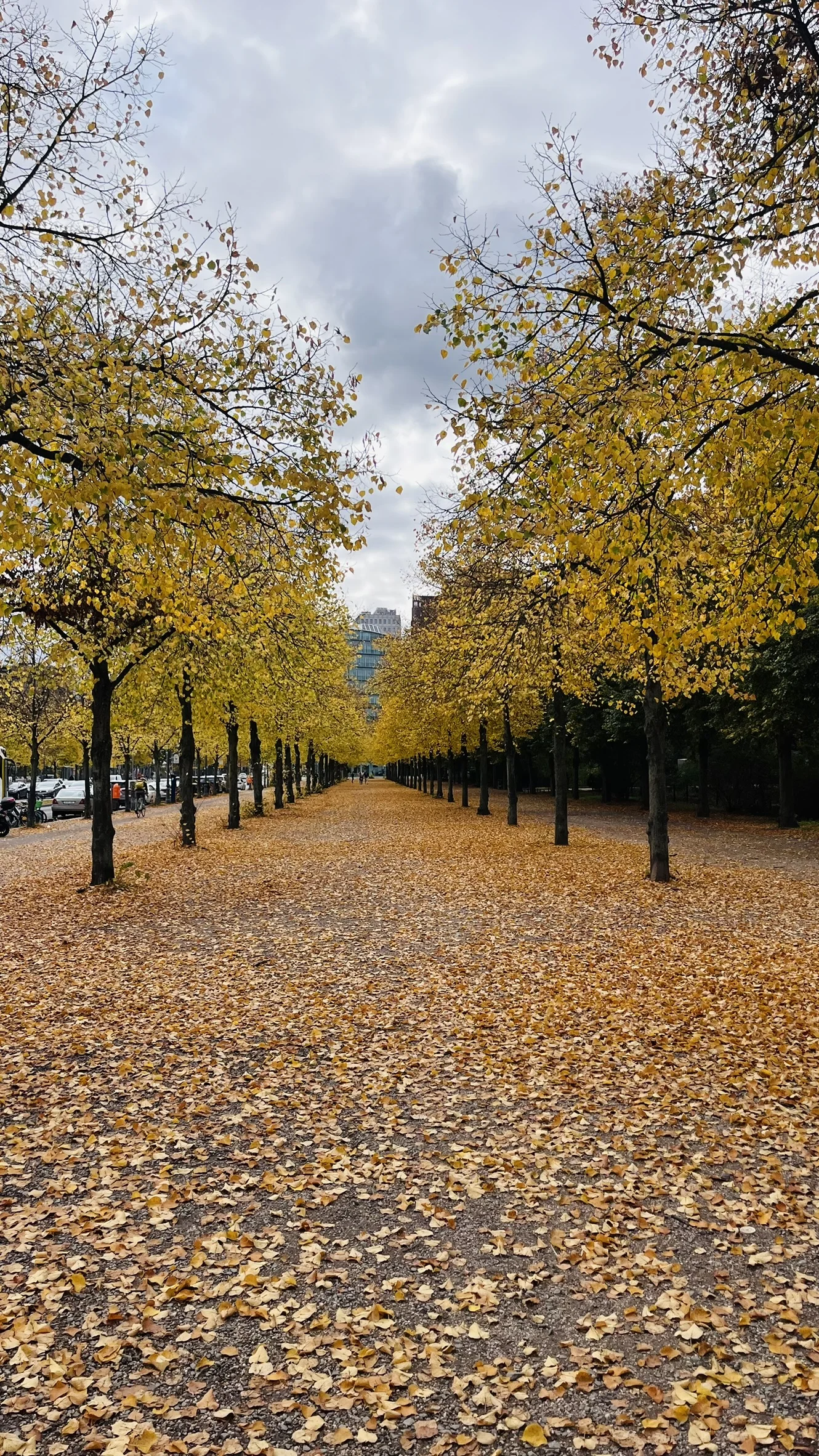 Folhas de outono em Berlim